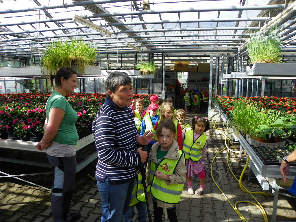 114_6854_JPG-1337386679