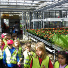 114_6862_JPG-1337386718