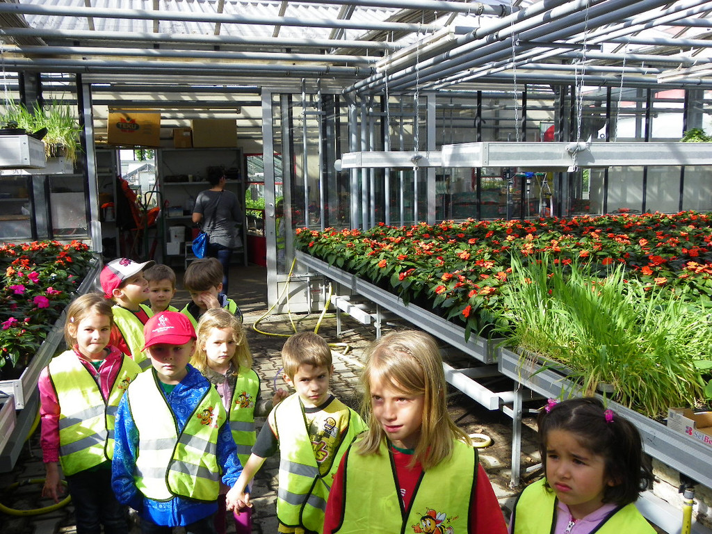 114_6862_JPG-1337386718