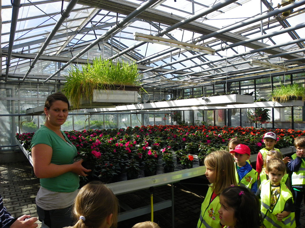 114_6856_JPG-1337386685