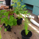 114_6872_JPG-1337386736