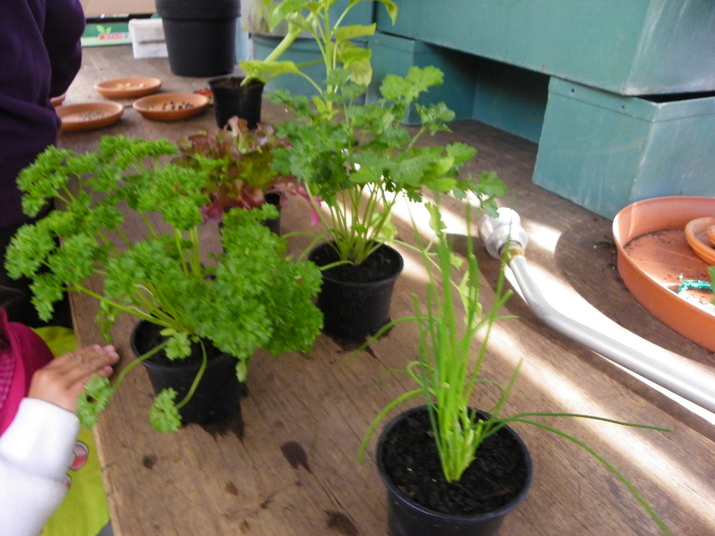 114_6872_JPG-1337386736