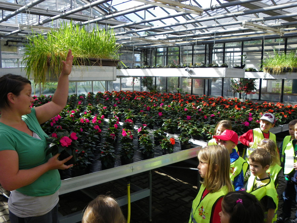 114_6858_JPG-1337386699