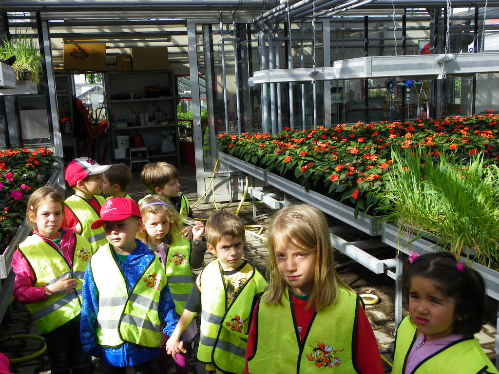 114_6861_JPG-1337386712