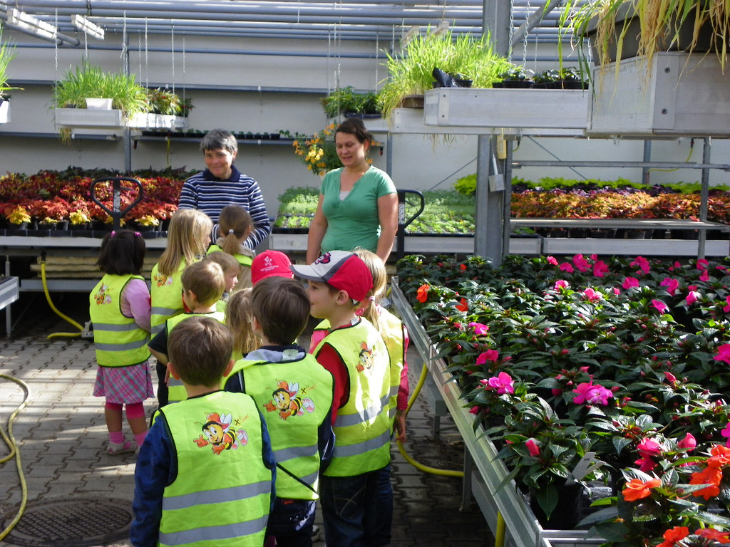 114_6867_JPG-1337386730