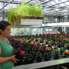 114_6857_JPG-1337386693