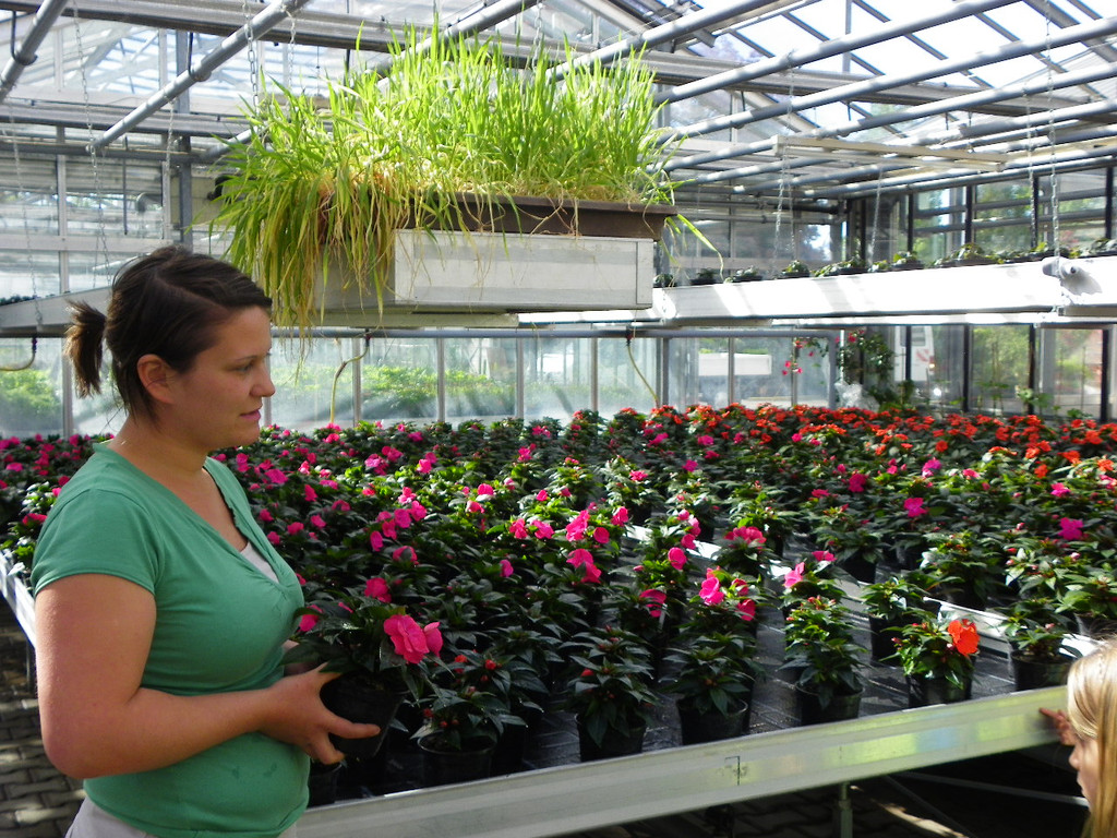 114_6857_JPG-1337386693