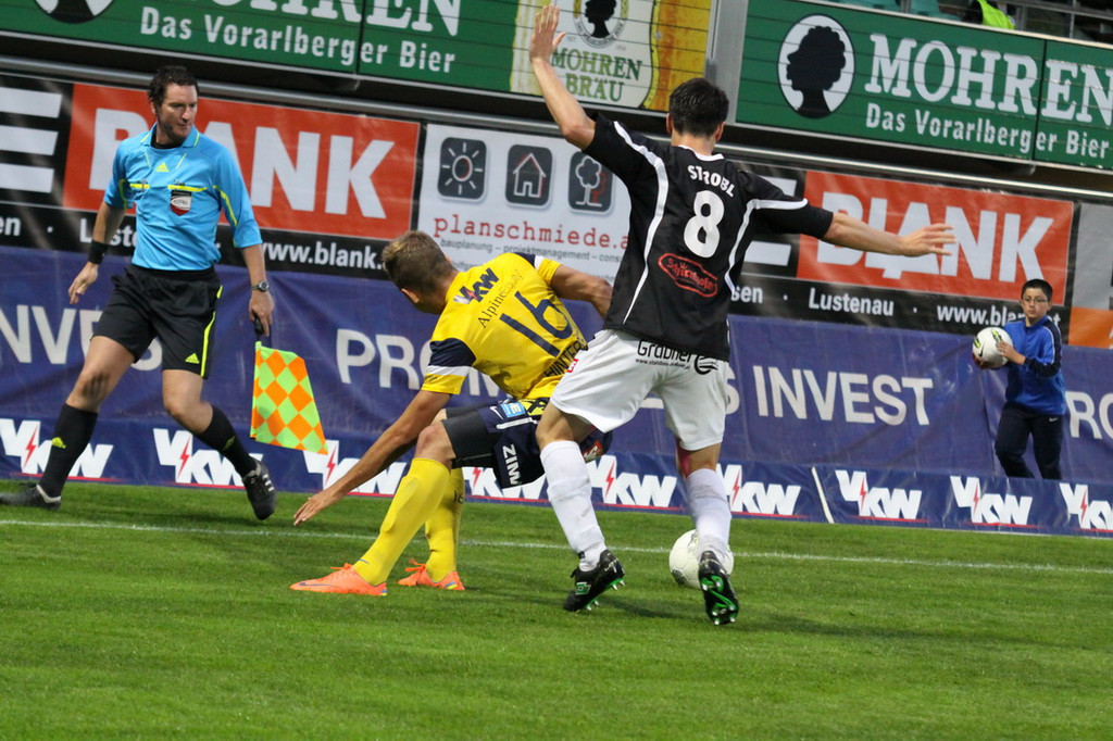 FC Lu_ - Hartberg  2012 106.jpg