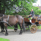 IMG_3009_JPG-1337416622