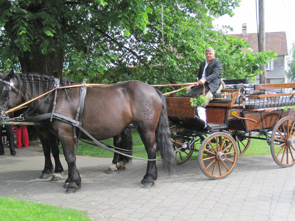 IMG_3009_JPG-1337416622
