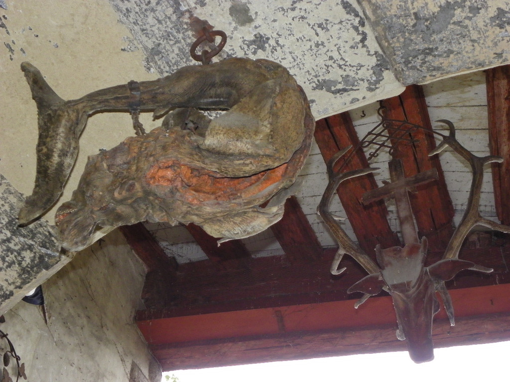 114_3751_JPG-1337423054