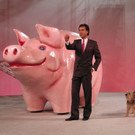 IBD0462-20120519.jpg
