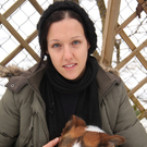 Vermittlungstier: Schäfermischling Beethoven