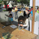 IMG_5127 _Large__jpg-1337442427