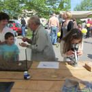 IMG_5128 _Large__jpg-1337442430