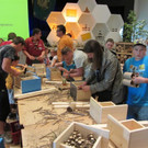 IMG_5150 _Large__jpg-1337442485