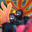 ABD0107-20120519.jpg