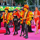 Lifeball-189.jpg
