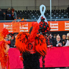 Lifeball-79.jpg