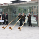DSC02337.JPG