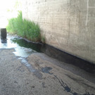 IMG_20120519_112852.jpg