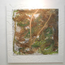 DSCN4206_JPG-1337518420