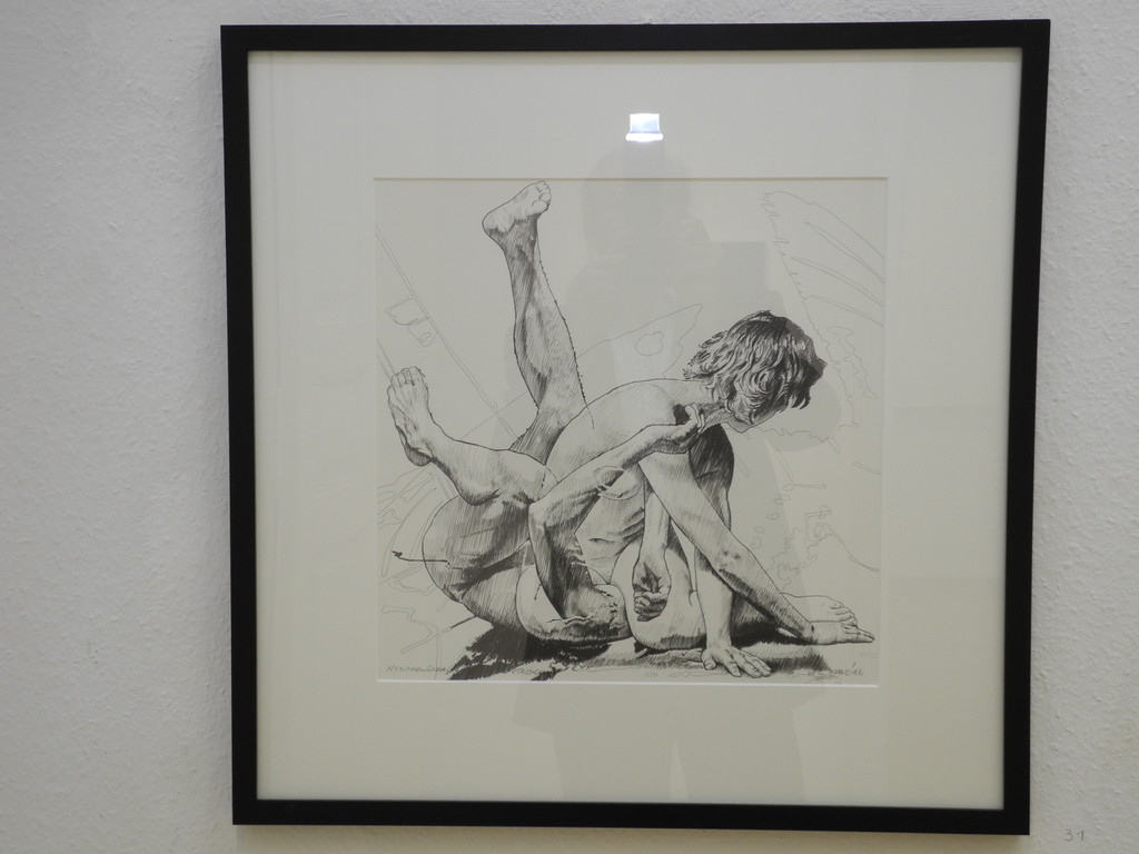 DSCN4201_JPG-1337519628