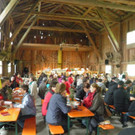 P5120103 _Large_.JPG
