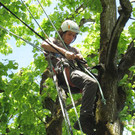 IMG_0303_JPG-1337529407