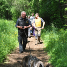 Hunde026.JPG
