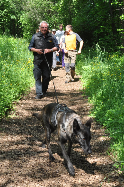 Hunde026.JPG
