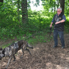 Hunde030.JPG