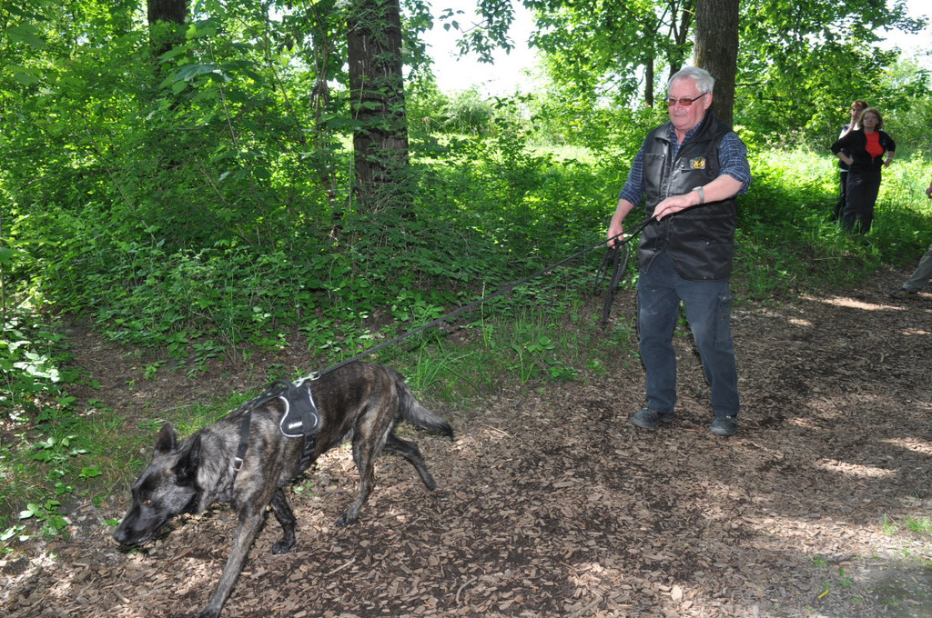 Hunde030.JPG
