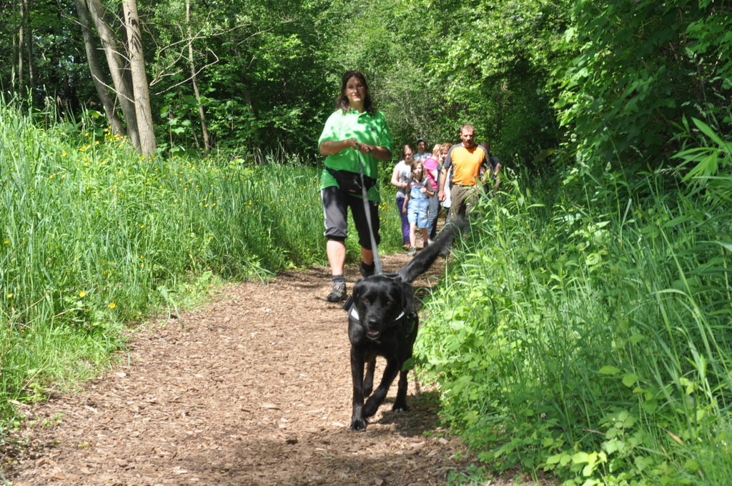 Hunde067.JPG