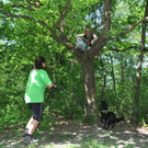 Hunde078.JPG