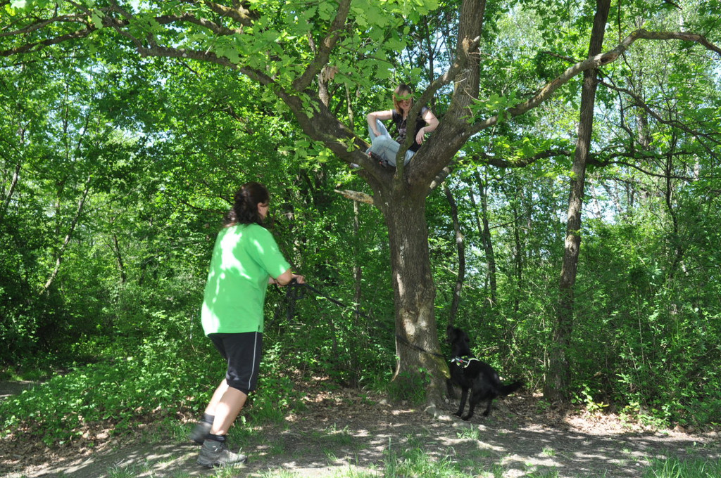 Hunde078.JPG