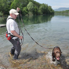 Hunde120.JPG