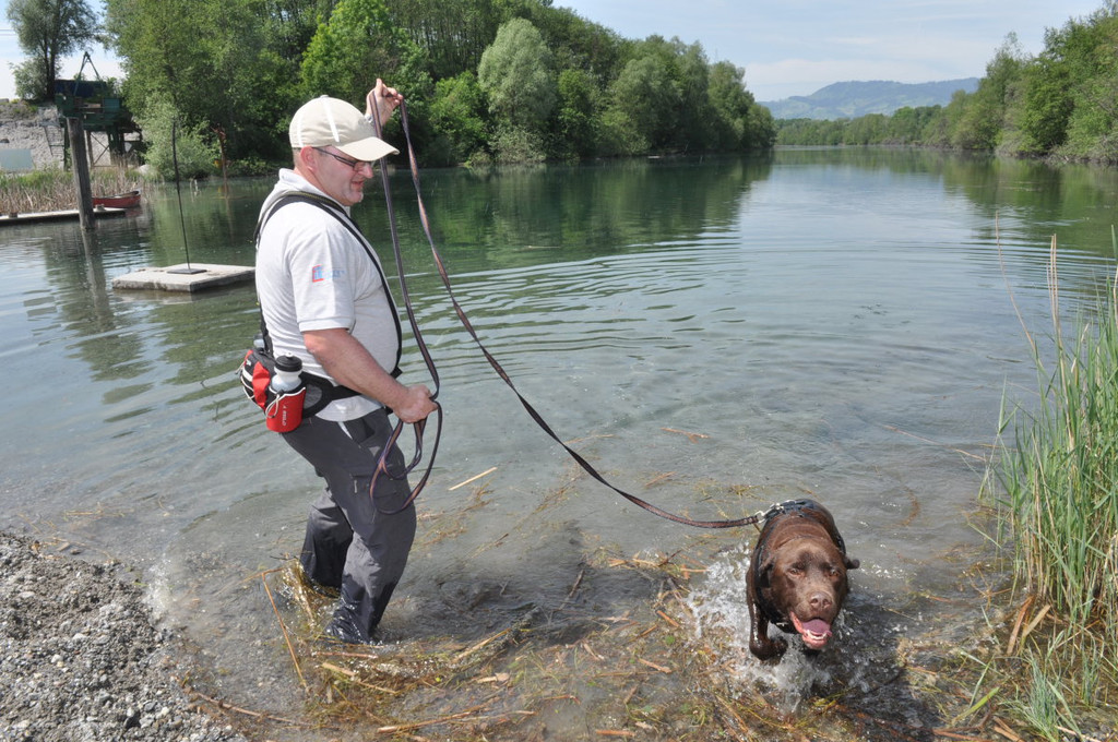 Hunde120.JPG