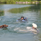 Hunde136.JPG
