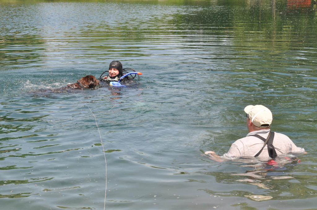 Hunde141.JPG