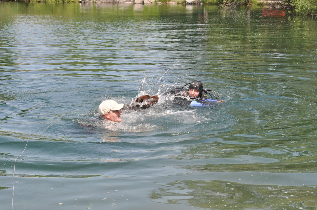 Hunde144.JPG