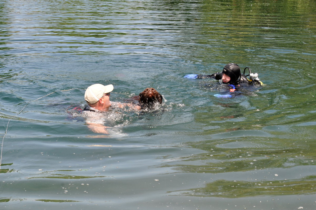 Hunde145.JPG