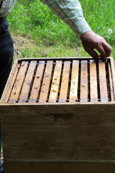 IMG_2990_JPG-1337532706