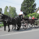IMG_3039_JPG-1337535328