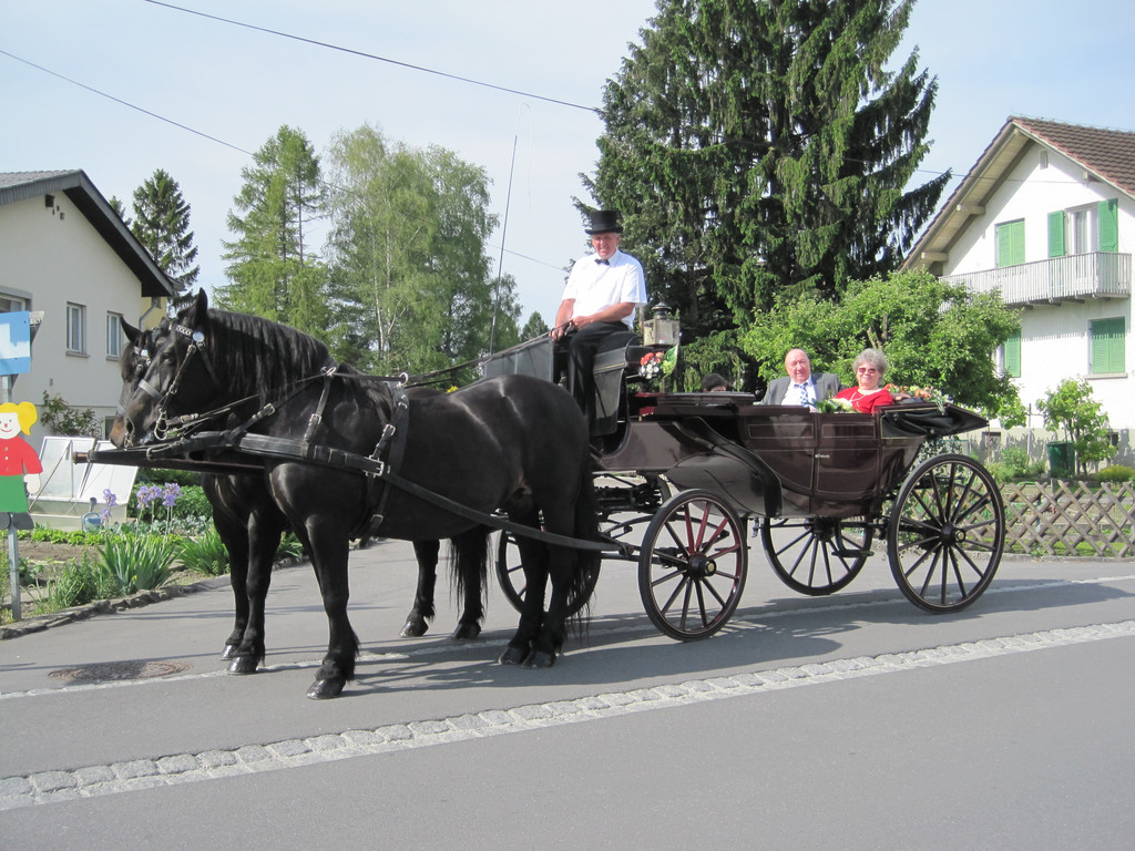 IMG_3039_JPG-1337535328