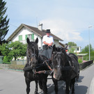 IMG_3043_JPG-1337535645