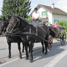 IMG_3044_JPG-1337535737