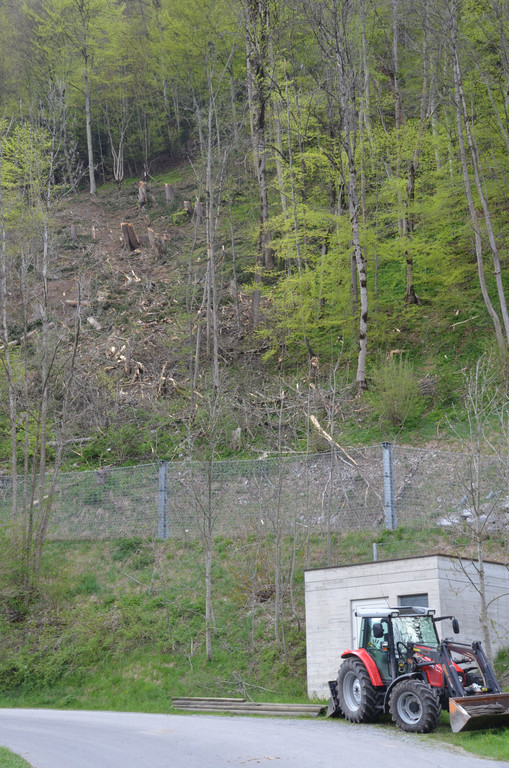 DSC_0697.JPG