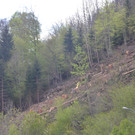 DSC_0702.JPG