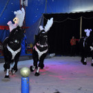 DSC_0059_JPG-1337555257